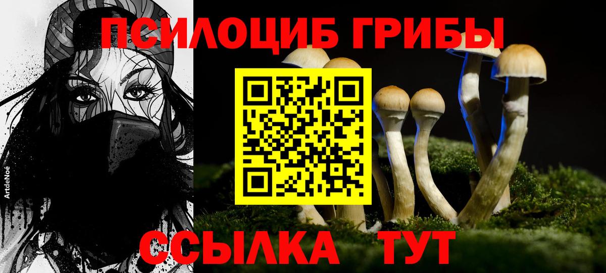 Нурлат  Псилоцибиновые грибы мухоморы  Вход с VPN 